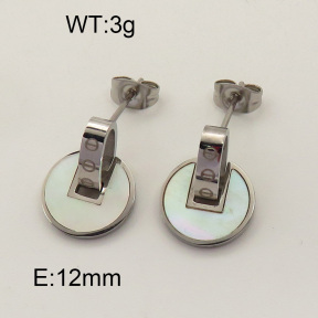 SS Earrings  3E3001063vbpb-722