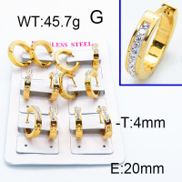 SS Earrings  6E4002866bika-450