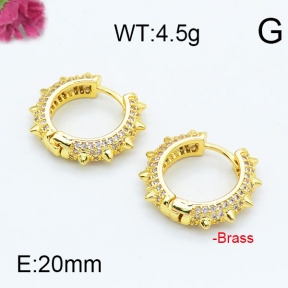 Fashion Brass Earrings  F6E402921ahjb-J111
