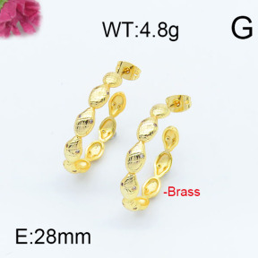 Fashion Brass Earrings  F6E402936vhha-J111
