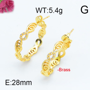 Fashion Brass Earrings  F6E402937vhha-J111