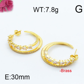 Fashion Brass Earrings  F6E402938ahjb-J111
