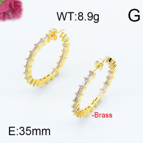 Fashion Brass Earrings  F6E402939vhmv-J111