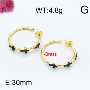 Fashion Brass Earrings  F6E402942ahjb-J111