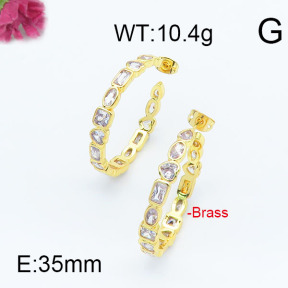 Fashion Brass Earrings  F6E402943vhmv-J111