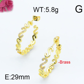 Fashion Brass Earrings  F6E402944vhha-J111