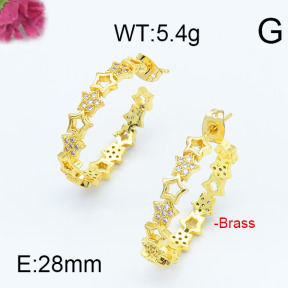 Fashion Brass Earrings  F6E402945vhha-J111
