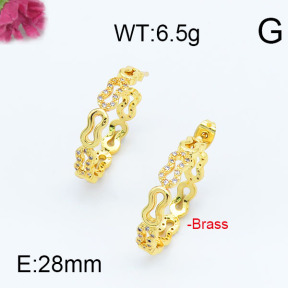 Fashion Brass Earrings  F6E402946vhha-J111