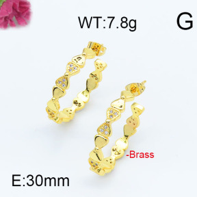 Fashion Brass Earrings  F6E402948vhha-J111