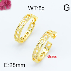 Fashion Brass Earrings  F6E402949vhha-J111