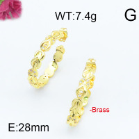 Fashion Brass Earrings  F6E402951vhha-J111