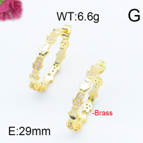 Fashion Brass Earrings  F6E402952vhha-J111