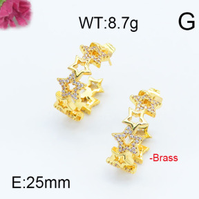 Fashion Brass Earrings  F6E402956vhha-J111