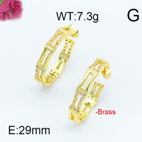 Fashion Brass Earrings  F6E402957vhha-J111