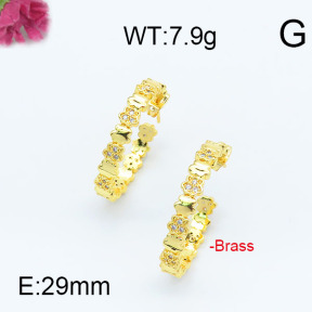 Fashion Brass Earrings  F6E402958vhha-J111
