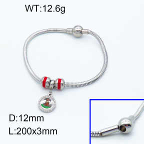 SS Bracelet  3B3002214vhll-066