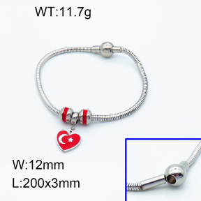 SS Bracelet  3B3002218vhll-066