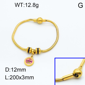 SS Bracelet  3B3002225vhml-066