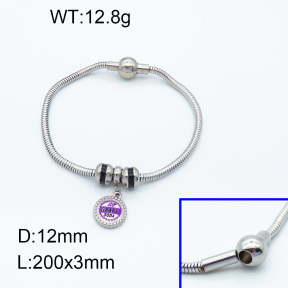 SS Bracelet  3B3002226vhll-066