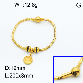 SS Bracelet  3B3002227vhml-066