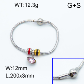 SS Bracelet  3B4002072vhll-066