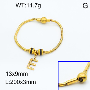 SS Bracelet  3B4002143vhnv-066