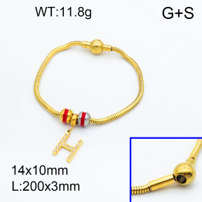 SS Bracelet  3B4002149vhml-066