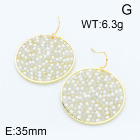 SS Earrings  6E4002937bhia-415