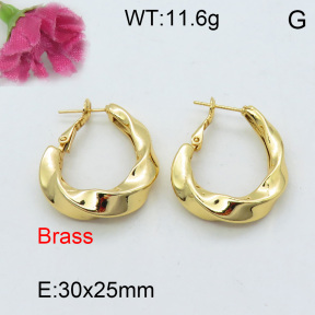 Fashion Brass Earrings  F3E200148ahjb-J40