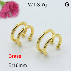 Fashion Brass Earrings  F3E200153vbpb-J40