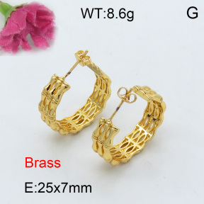 Fashion Brass Earrings  F3E200156ahjb-J40