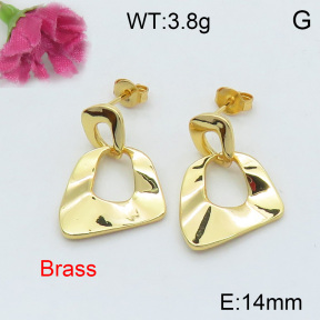 Fashion Brass Earrings  F3E200158bhia-J40