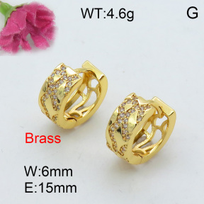 Fashion Brass Earrings  F3E401939vhkb-J40