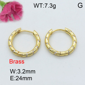 Fashion Brass Earrings  F3E401942ahlv-J40