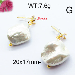 Fashion Brass Earrings  F6E301033vbmb-J116