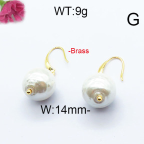 Fashion Brass Earrings  F6E301034aakl-J116