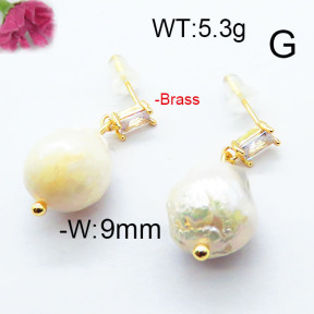 Fashion Brass Earrings  F6E301035vhha-J116