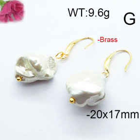 Fashion Brass Earrings  F6E301036aakl-J116