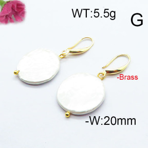 Fashion Brass Earrings  F6E301038vbmb-J116