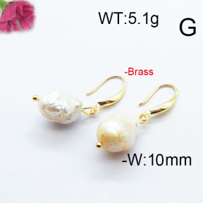 Fashion Brass Earrings  F6E301041bvpl-J116