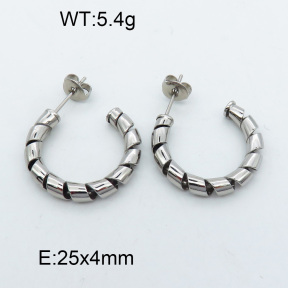 SS Earrings 3E2002550bbov-066