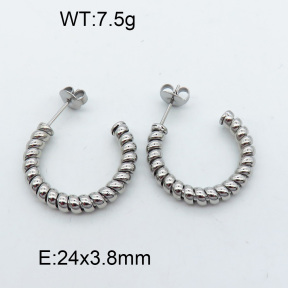 SS Earrings 3E2002552bbov-066