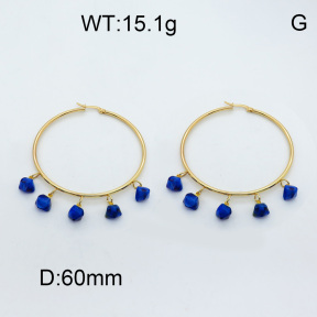 SS Earrings 3E4001823bhva-212