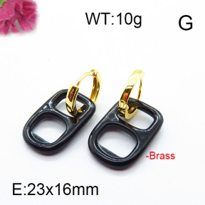 Fashion Brass Earrings F6E303021ahjb-J40