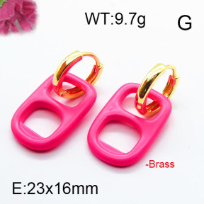 Fashion Brass Earrings F6E303027ahjb-J40