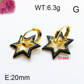 Fashion Brass Earrings F6E303047ahjb-J40