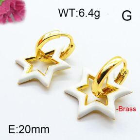 Fashion Brass Earrings F6E303048ahjb-J40