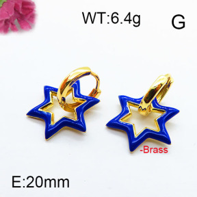 Fashion Brass Earrings F6E303049ahjb-J40