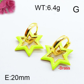 Fashion Brass Earrings F6E303050ahjb-J40