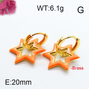 Fashion Brass Earrings F6E303051ahjb-J40